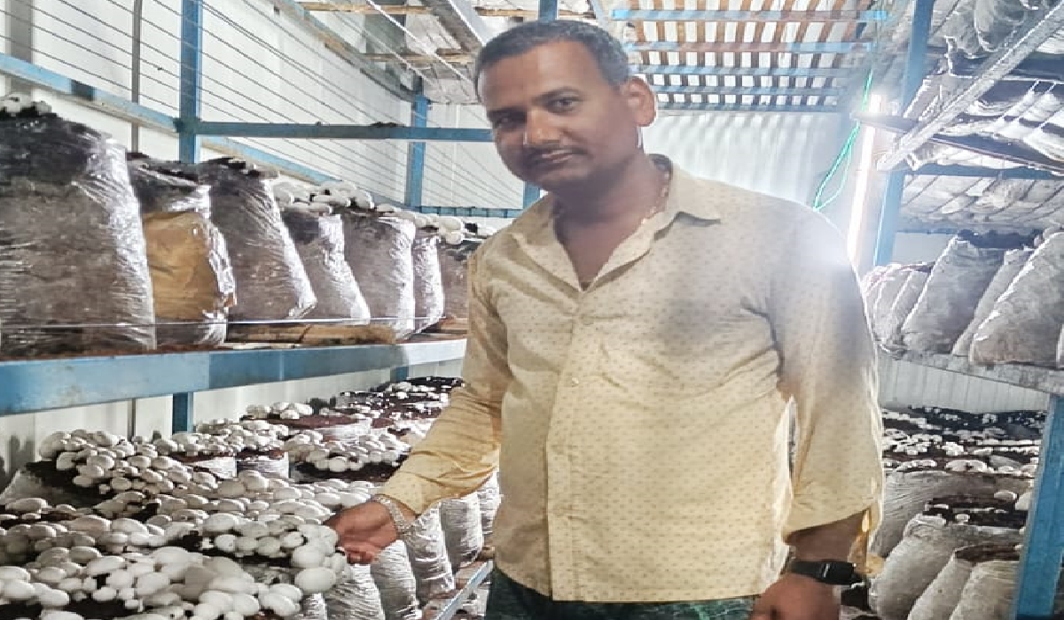 Mushroom Cultivation