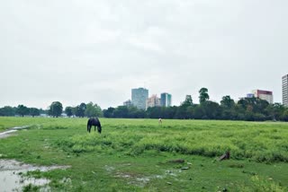 Rain in Kolkata