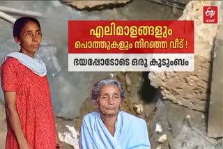 HOME ISUUE SHYAMALA  FAMILY STRUGGLING FOR HOME  വീടിനായി കാത്തിരുന്ന് കുടുംബം  ലൈഫ് മിഷൻ പദ്ധതി