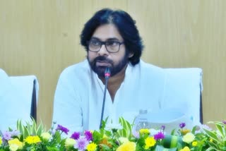 Pawan Kalyan Participated in Grama Sabha