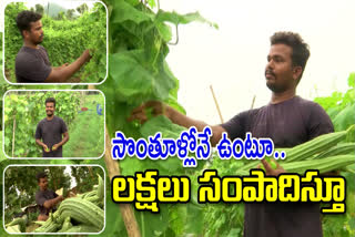 Young Farmer Earning