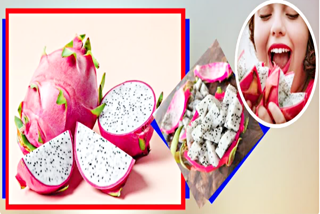 DRAGON FRUIT BENEFITS AND SUPERFOOD DRAGON FRUIT PROPERTIES FOR HUMANS BODY