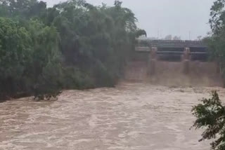 3 Die Of Drowning, Electrocution Due To Rain In Delhi