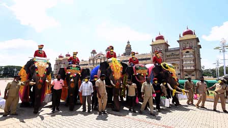 ಇಂದು ಅರಮನೆ ಅಂಬಾ ವಿಲಾಸ ಸೇರಲಿರುವ ಗಜಪಡೆ