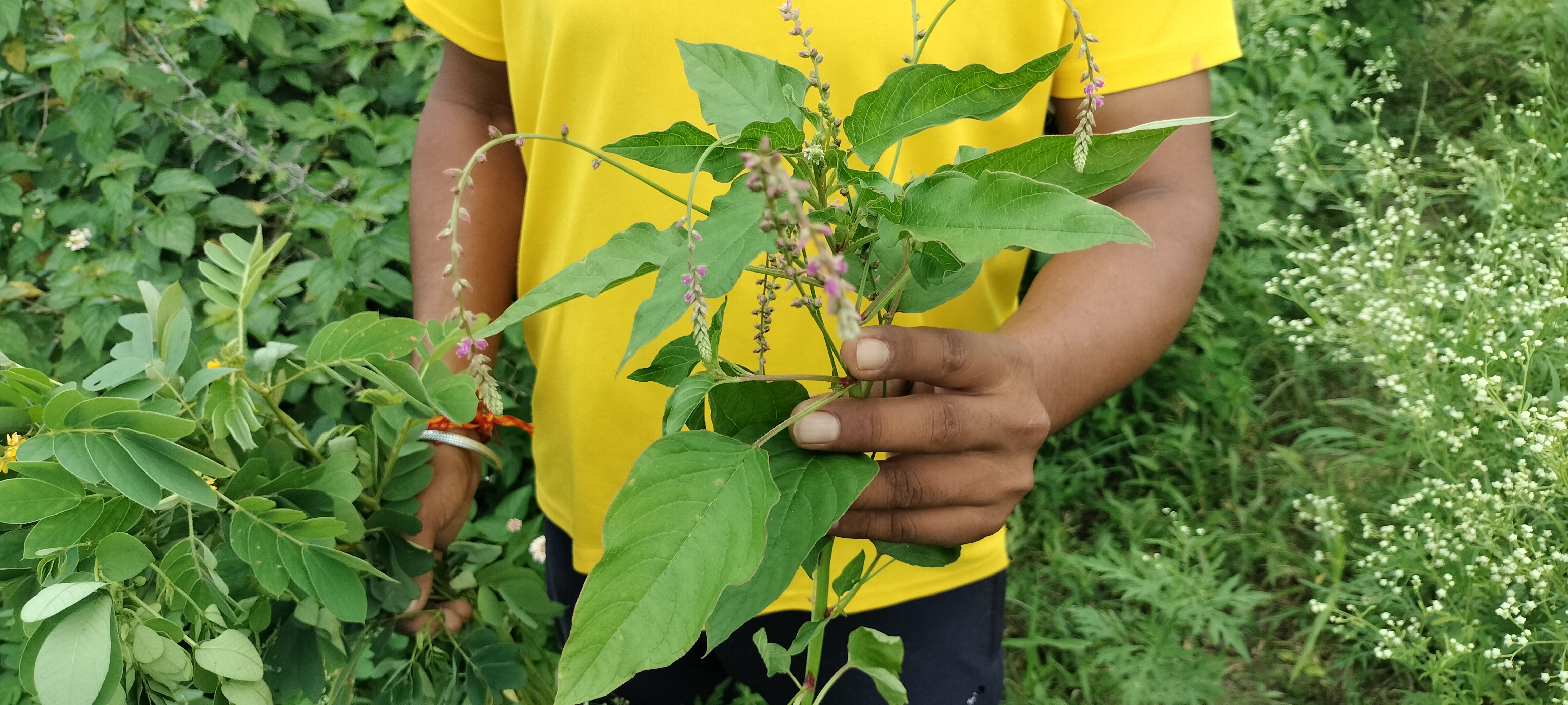 tribal veg Fuhadi Karanjad Kinkoda