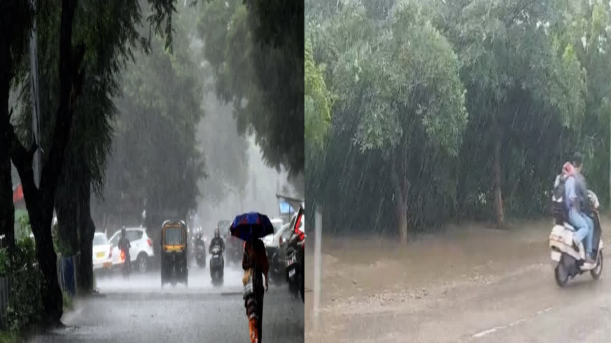 It rained in many districts of Punjab today