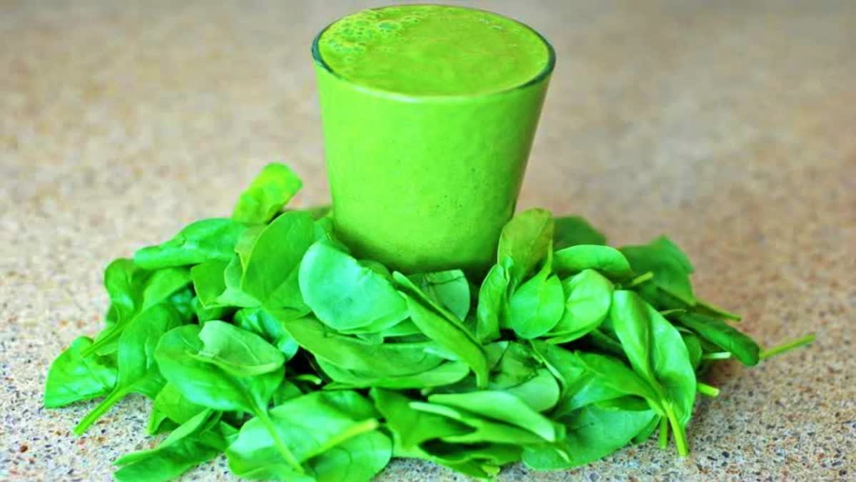 Consumption of spinach extract can speed up the wound healing process in diabetic patients