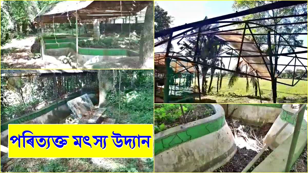 Poor condition of Samaguri Fish Conservation Park