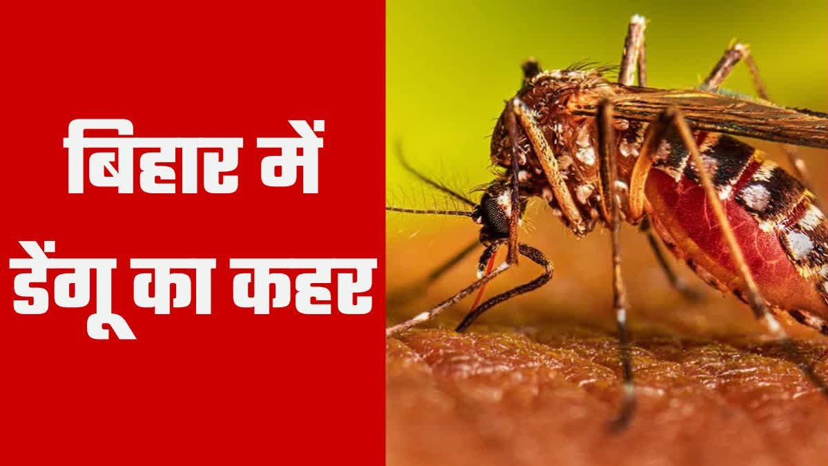 Dengue In Bihar