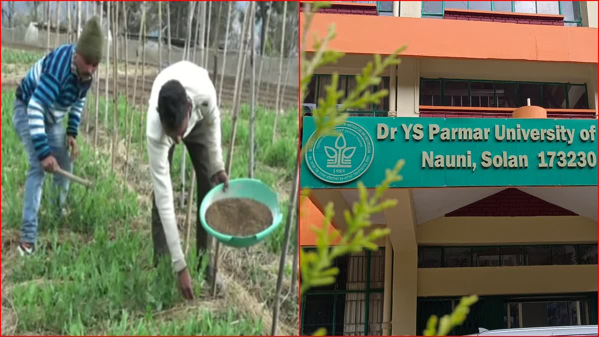 Solan Nauni University in natural farming project