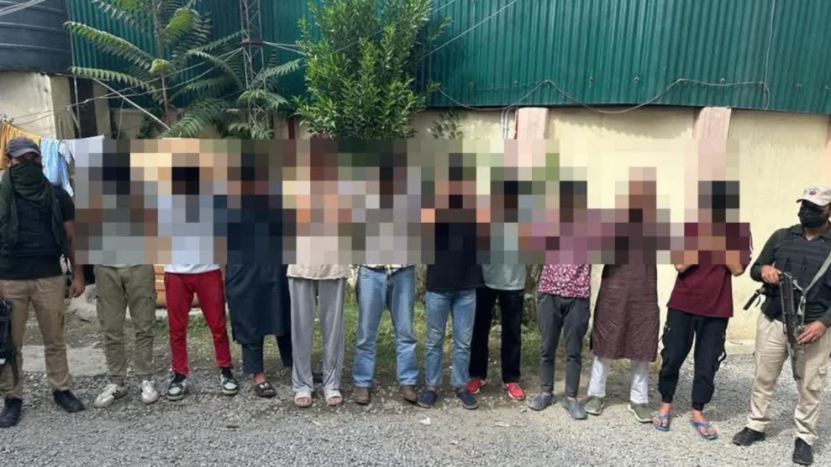 10 Arrested in Jk