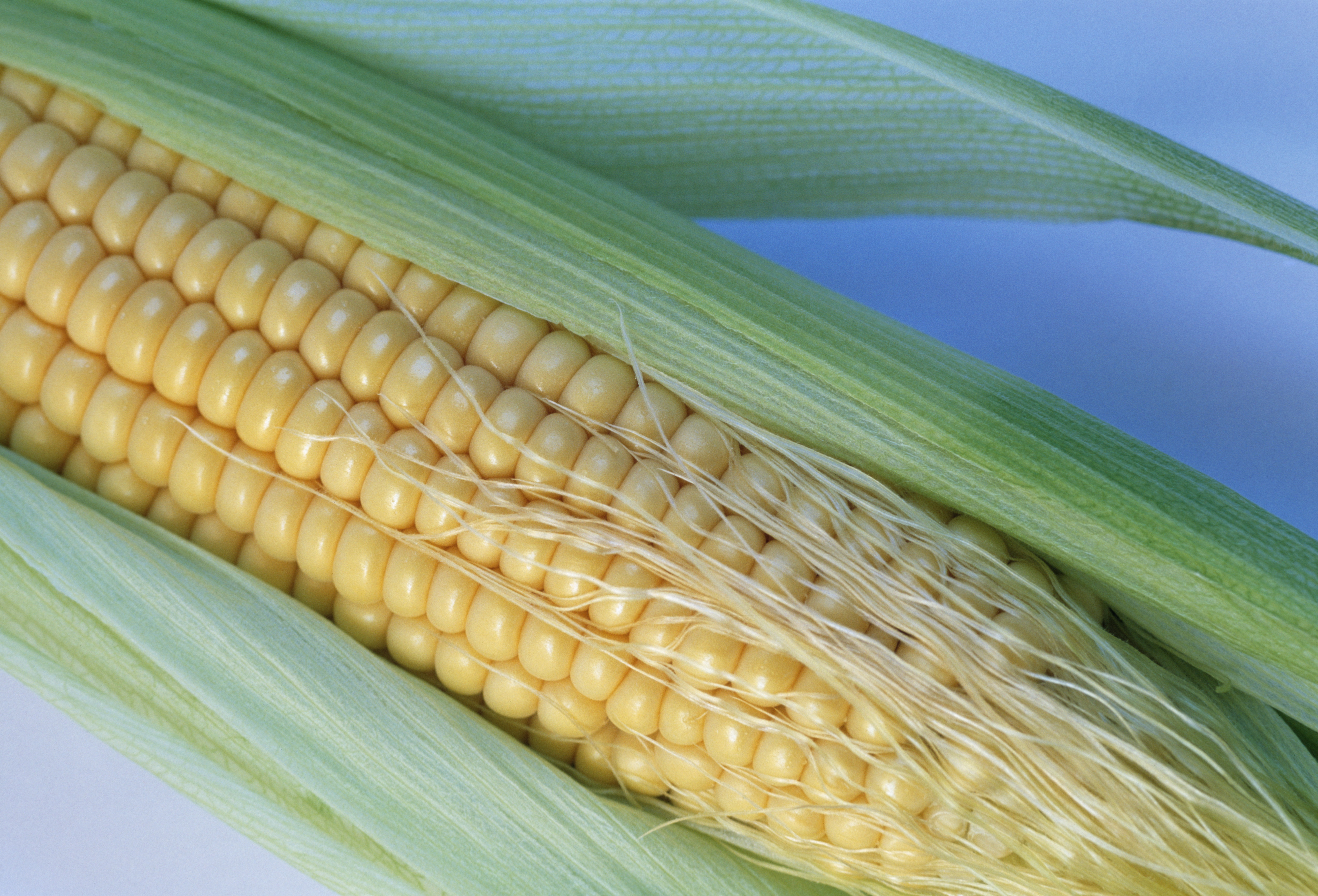 sweetcorn