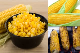 healthy sweetcorn