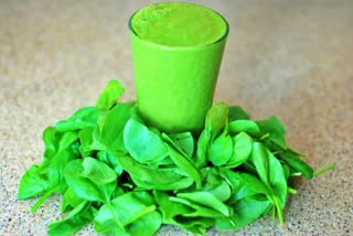 Consumption of spinach extract can speed up the wound healing process in diabetic patients