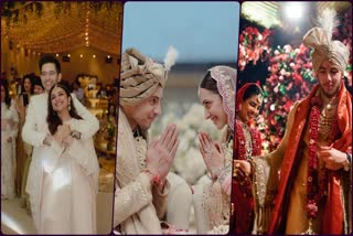 Celebs Got Married In Rajasthan