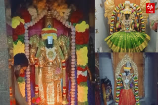 ஸ்ரீனிவாச பெருமாளுக்கு சிறப்பு பூஜை!