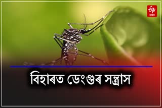 Dengue cases in Bihar