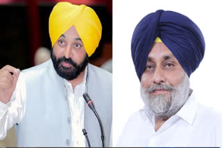 CM Bhagwant Mann VS Sukhbir Badal