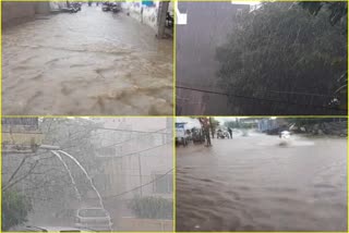 Bhavnagar Rain : ભાવનગરમાં કડાકા ધડાકા સાથે અનરાધાર વરસાદ, થોડી મિનિટના વરસાદે પાણી પાણી કર્યું