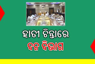 ହାତୀ ପାଇଁ ଜଙ୍ଗଲ ଓ ପରିବେଶ ବିଭାଗ ଚିନ୍ତାରେ, ହାତୀ ଉପଦ୍ରବ ନିୟନ୍ତ୍ରଣ ପାଇଁ ସାଢ଼େ ୪କୋଟି ଅନୁଦାନ