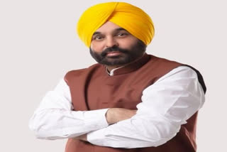 Over 36,000 jobs given in past 18 months in Punjab: CM Mann