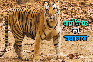 nauradehi tiger reserve name changed