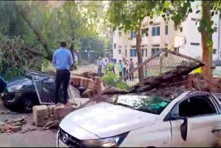 Trees uprooted at many places in Delhi