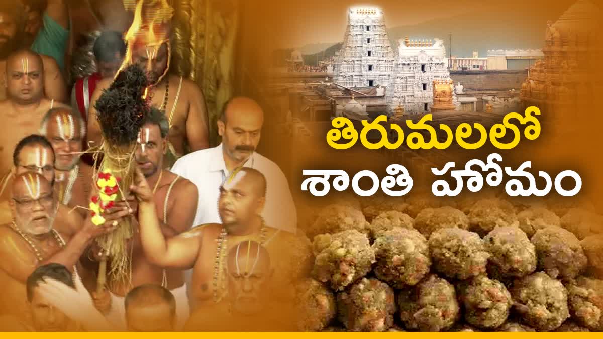 Tirumala Homam Today