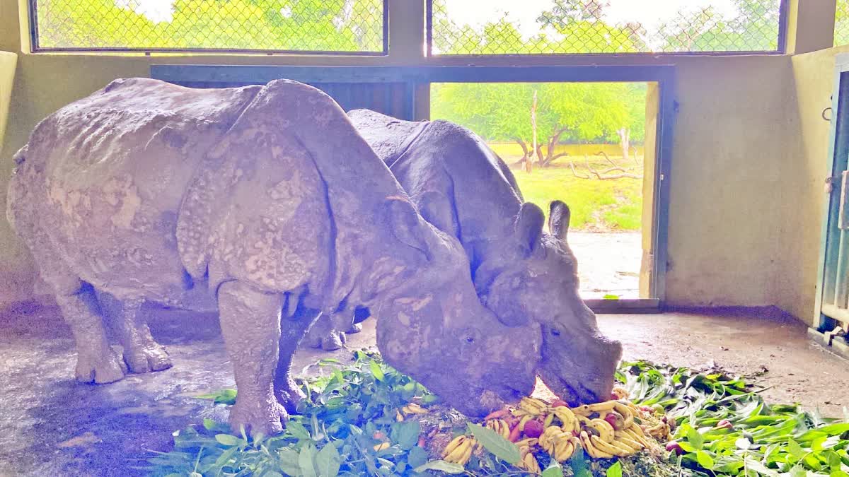 FIRST RHINOCEROS BREEDING CENTER