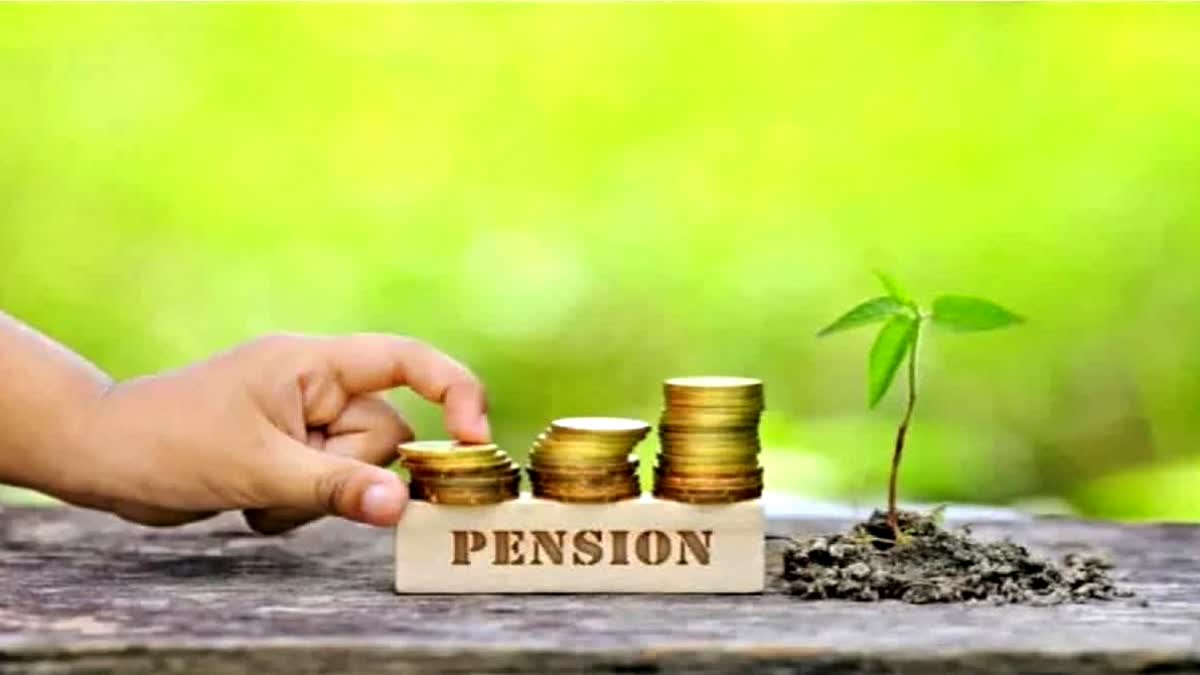 Take Home Pension Calculator