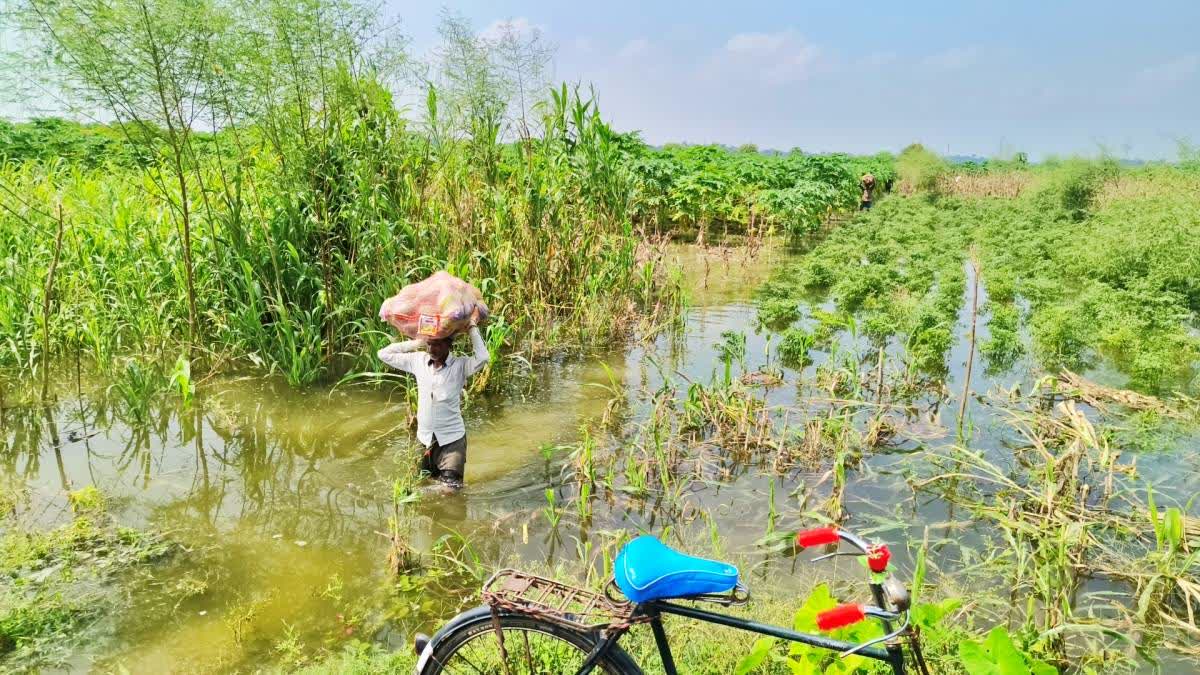 A flood-hit victim carrying his belonging to the nearest relief camp