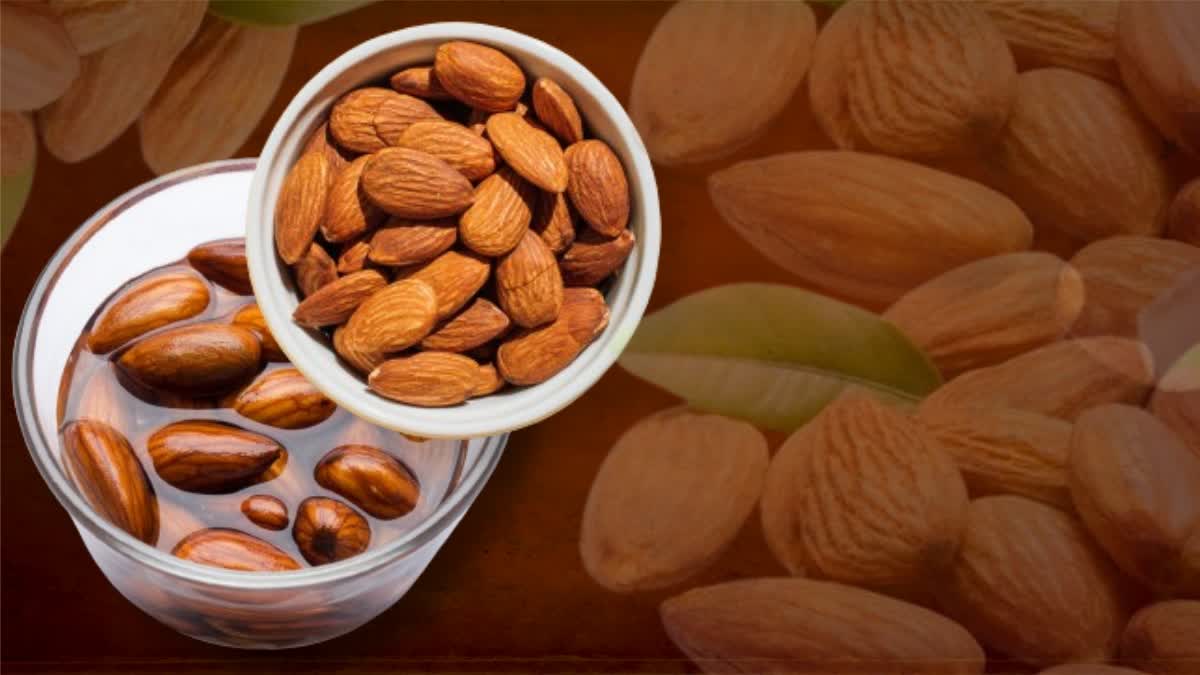 SOAKED ALMONDS BENEFITS SOAKED ALMOND GOOD FOR HEALTH