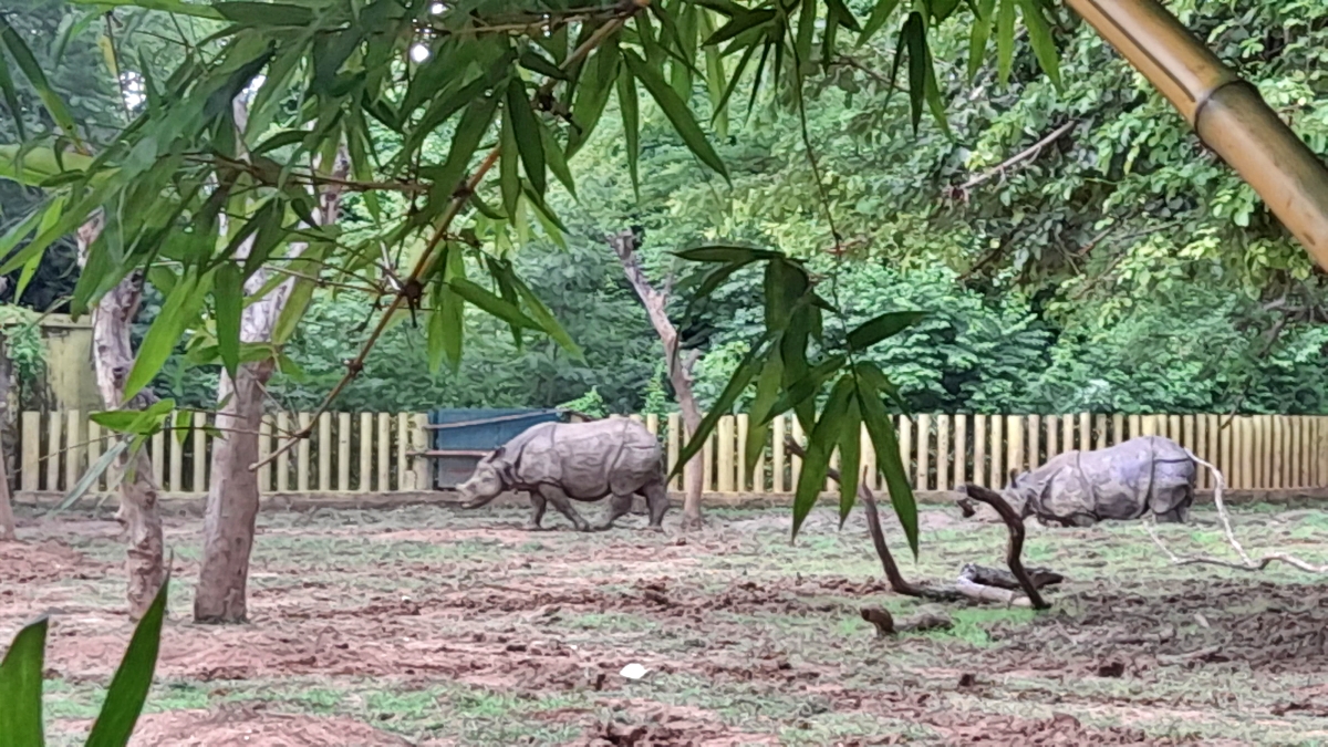 RHINOCEROS BREEDING CENTER IN PATNA ZOO