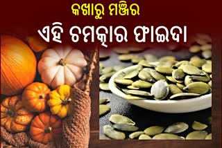 ଡାଇବେଟିସ୍‌ରୁ କୋଲେଷ୍ଟ୍ରଲ ଯାଏଁ, କଖାରୁ ମଞ୍ଜି ଖାଇଲେ ମିଳିପାରେ ଏସବୁ ଫାଇଦା