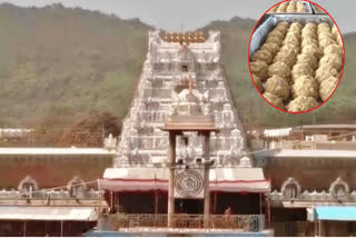 Shanti Homam in Tirumala