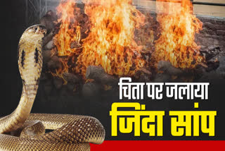 Villagers Burned Live Snake On Pyre