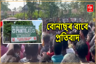 Protest at Panitola Tea Estate