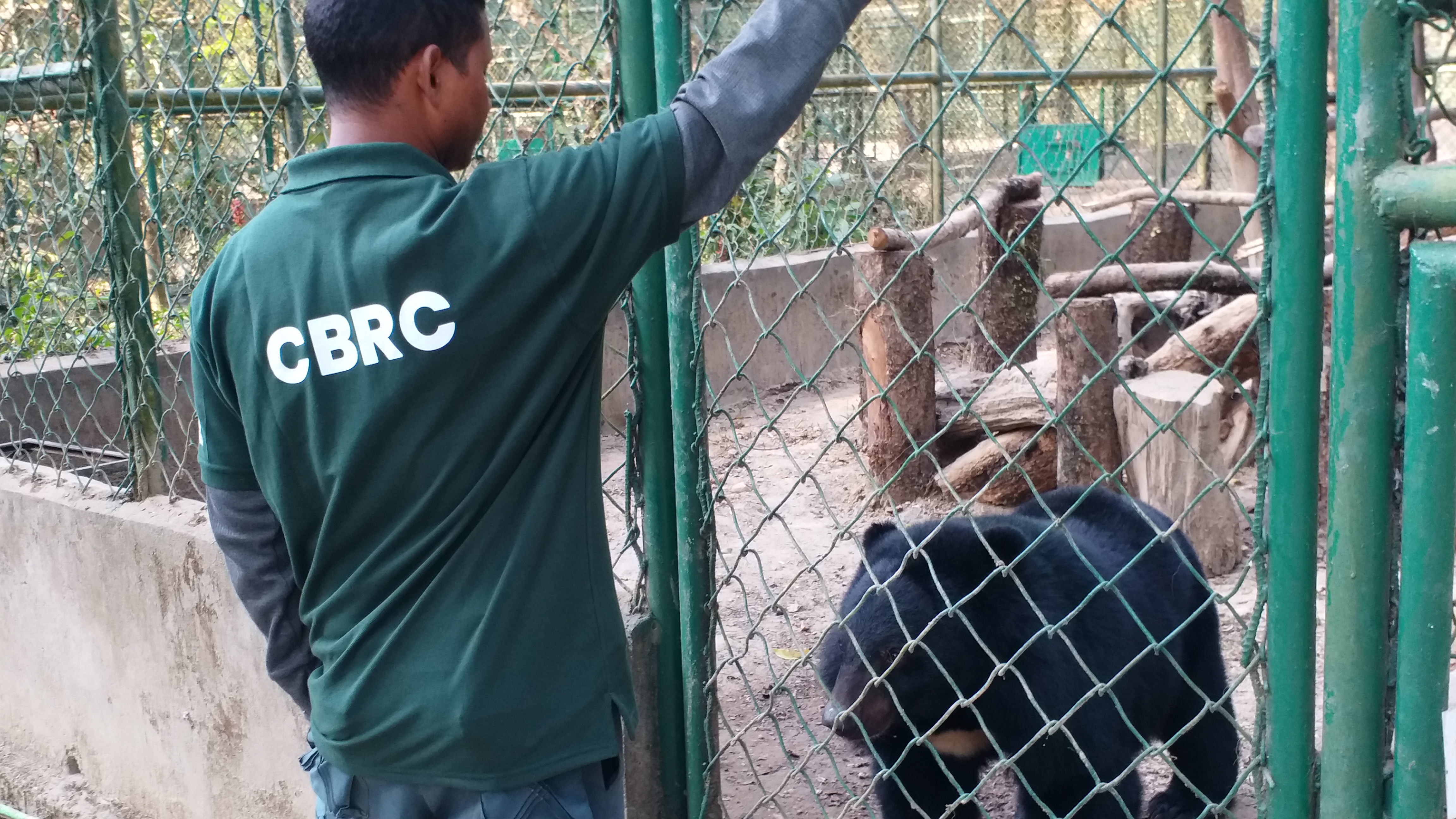 Black bear in Arunachal