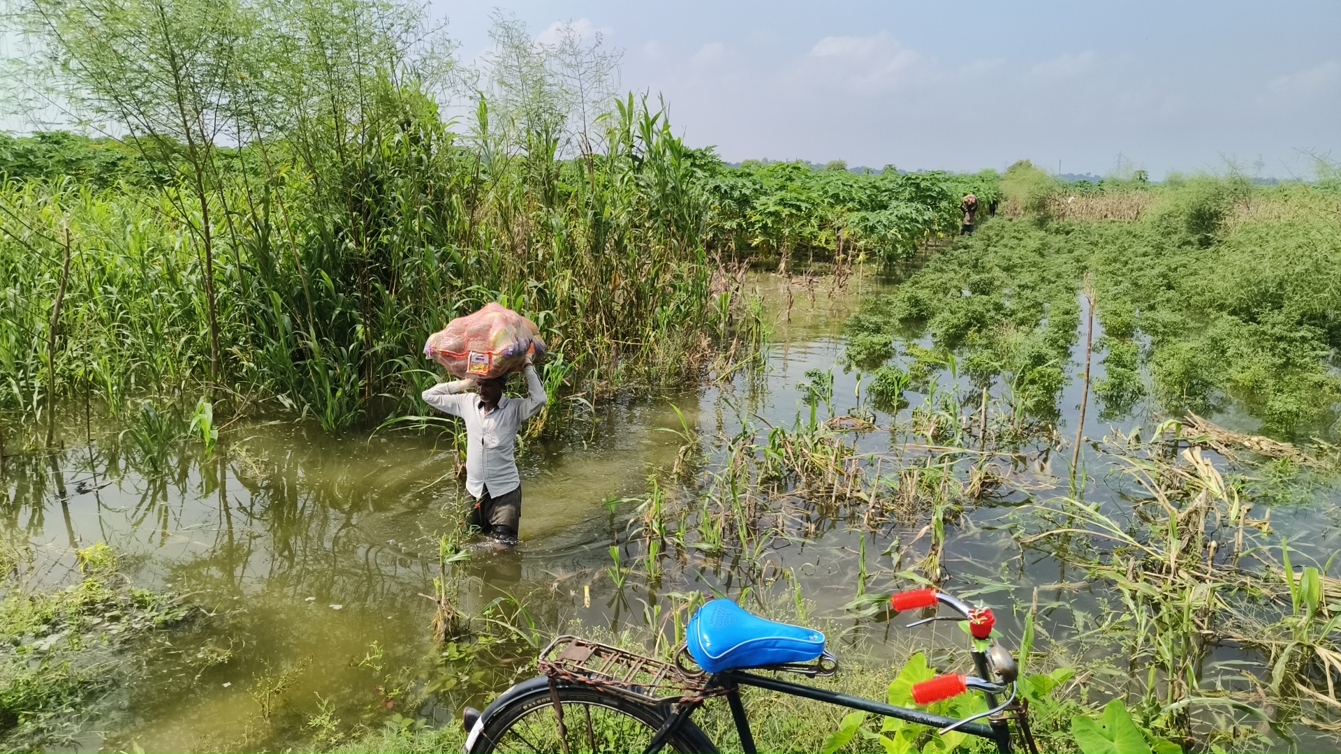 Flood in Bhagalpur