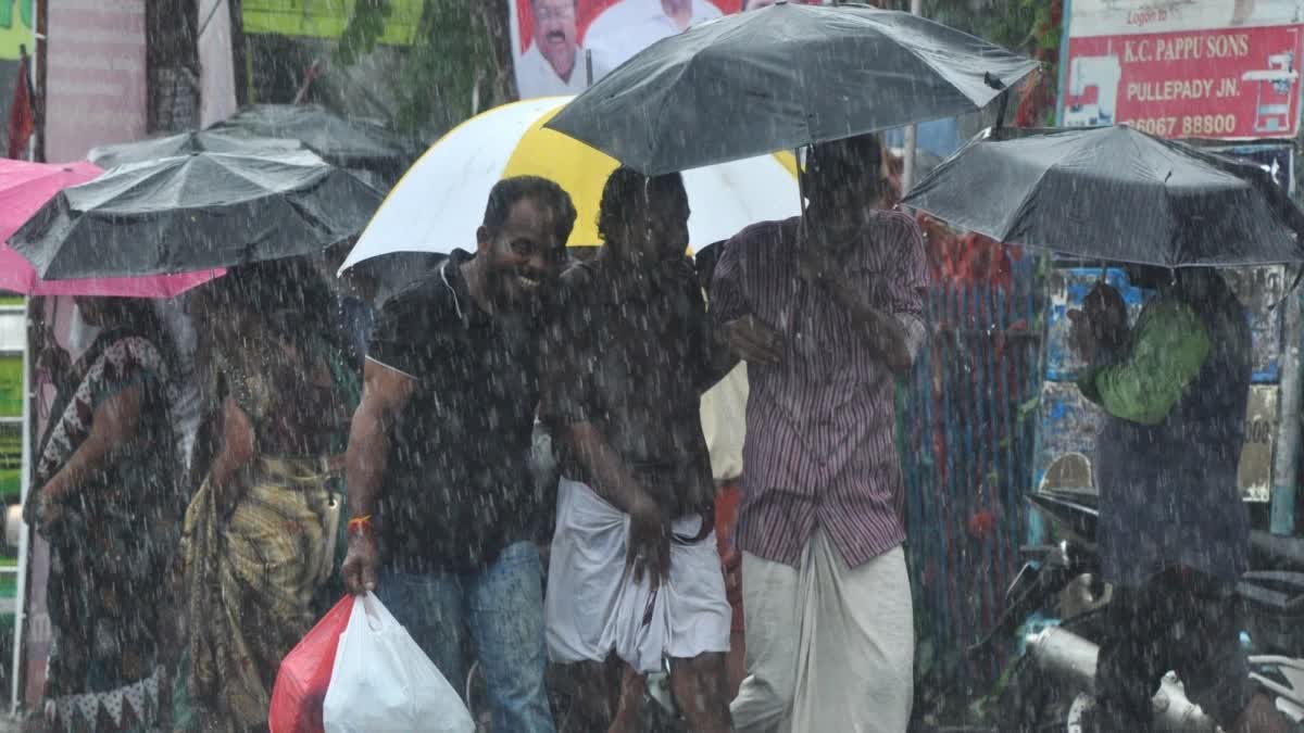 Kerala Rains  Kerala Weather Update  Weather Update Kerala  Rain update Kerala  സംസ്ഥാനത്ത് വരും ദിവസങ്ങളില്‍ ശക്തമായ മഴ  സംസ്ഥാനത്ത് മഴ മുന്നറിയിപ്പ്  യെല്ലോ അലര്‍ട്ട്  Yellow alert districts Kerala  കേന്ദ്ര കാലാവസ്ഥ വകുപ്പ്  മഴ മുന്നറിയിപ്പ്