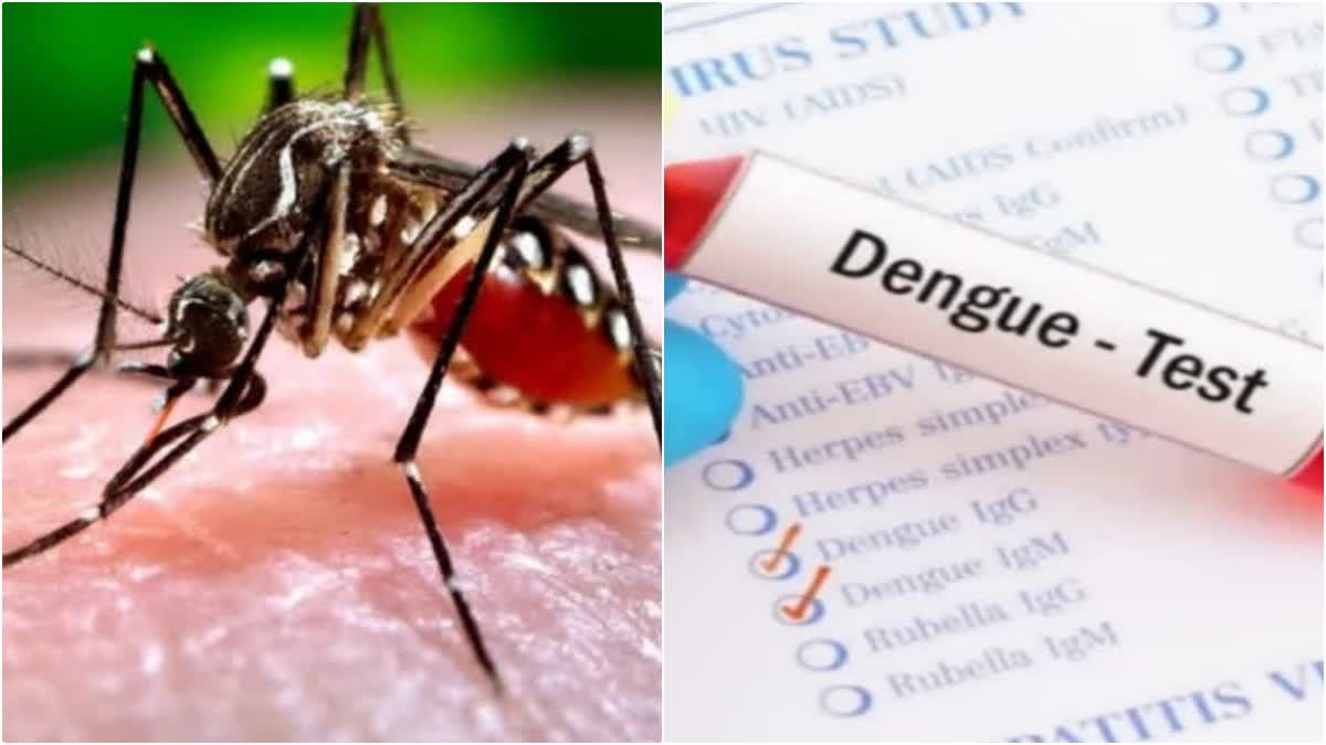 Dengue Fever