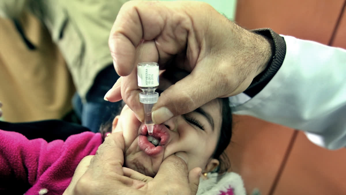 Polio, a viral disease known for its rapid spread, especially among children under the age of 5, has been a long-standing global health concern. The polio virus enters the body, affecting the nervous system, potentially leading to paralysis and lifelong consequences. It primarily spreads through the fecal-oral route, but various other vectors contribute to its transmission.
