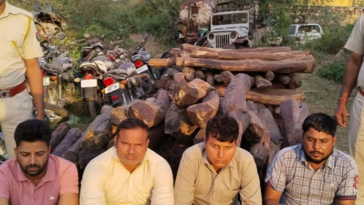 Red sandalwood smuggling