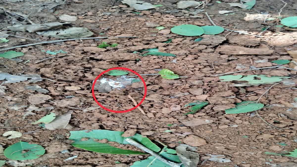 IED bombs recovered in Chaibasa