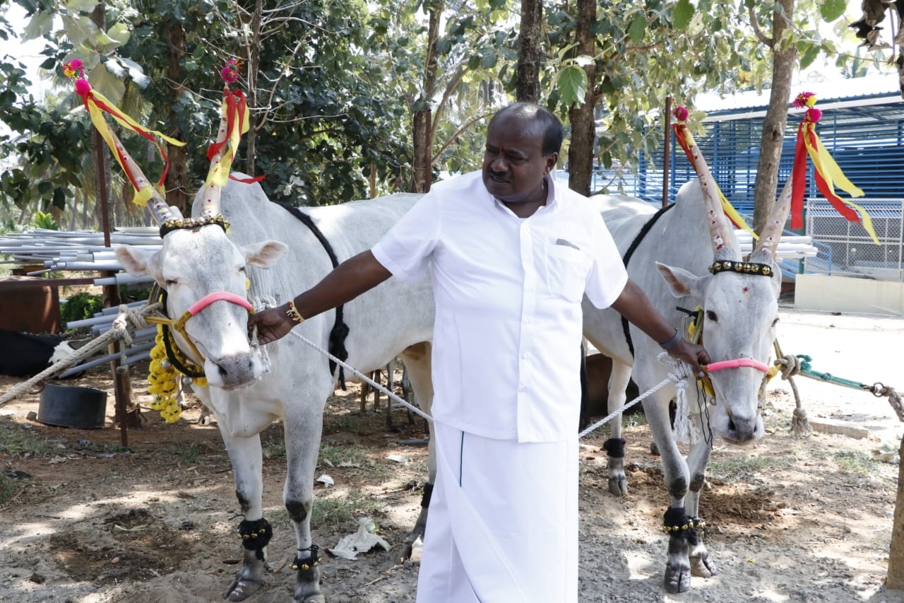 Dasara celebration at HDK farm house