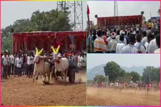 Dussehra_Celebrations_Oxe_Cart_Contests