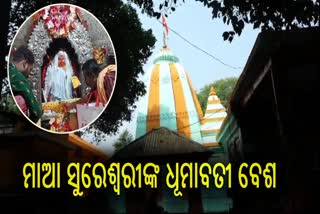 ଧୂମାବତୀ ବେଶରେ ଦର୍ଶନ ଦେଉଛନ୍ତି  ମାଆ ସୁରେଶ୍ୱରୀ