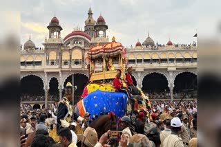 All preparations for Mysore Jambu Savari