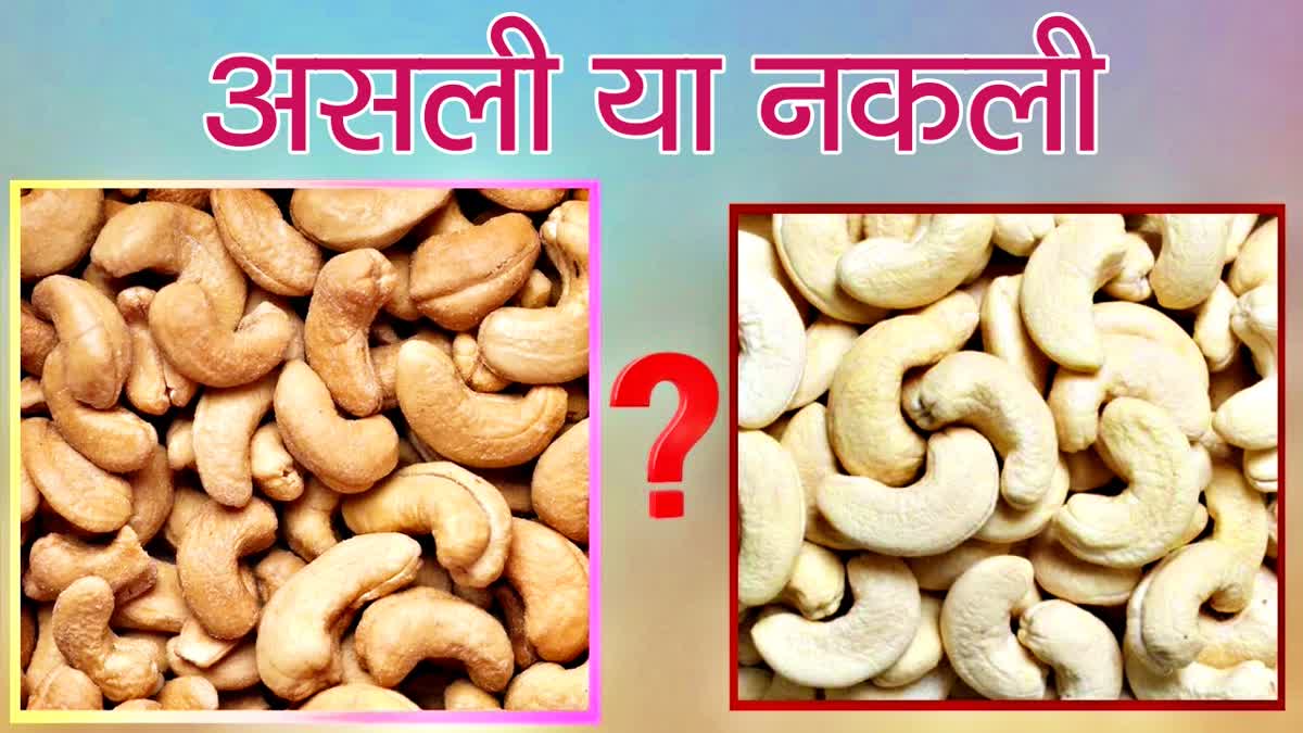 HOW TO IDENTIFY GENUINE CASHEW and IDENTIFY FAKE CASHEWS