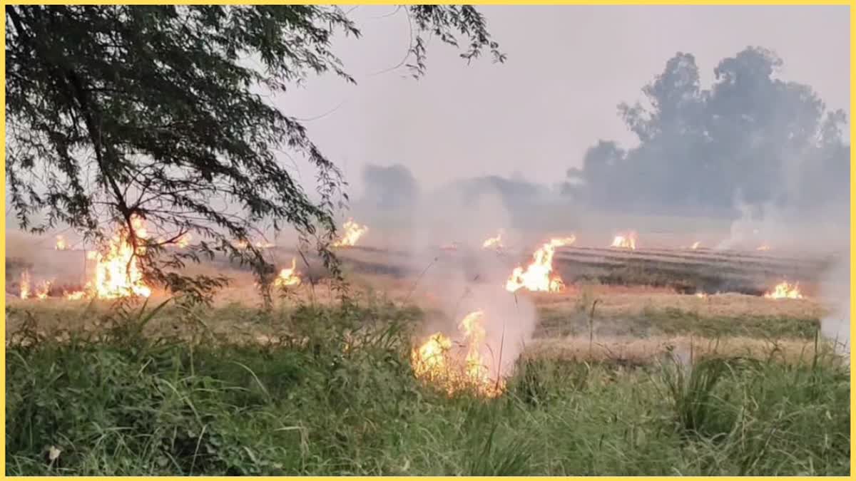 stubble burning Case in Jind